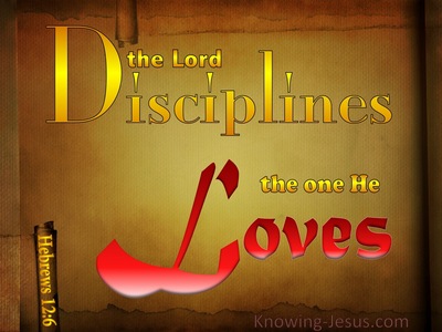 Hebrews 12:6 The Lord Disciplines The One He Loves (brown)